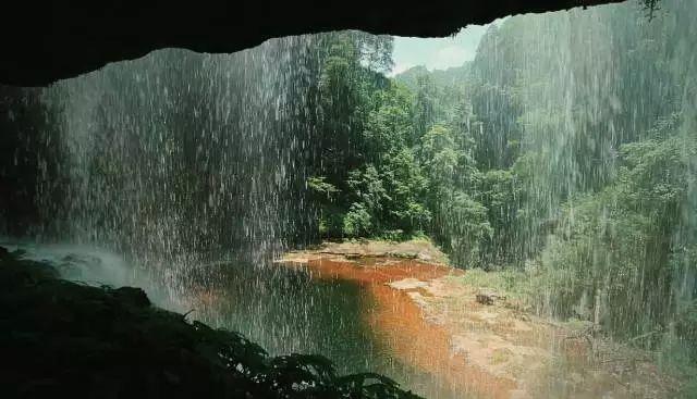雷竞技比分
